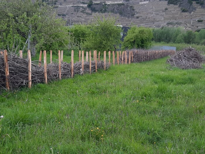 © Pierre-Emmanuel Rivaz