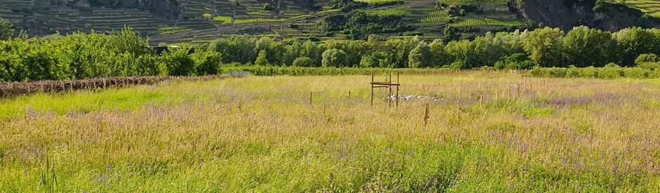 © WWF Valais\Nathanël Bruchez © WWF Valais\Nathanël Bruchez