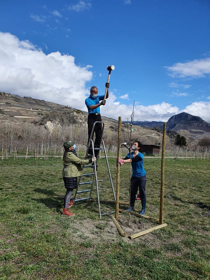 © WWF Valais\Christine Pustel